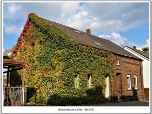 Gelsenkirchen Erle im Oktober 2020
