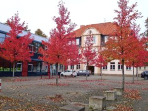 Gelsenkirchen-Erle im Oktober 2021