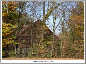 Gelsenkirchen Erle im November 2020