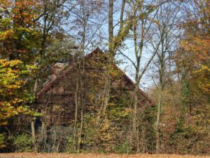 Gelsenkirchen Erle im November 2020