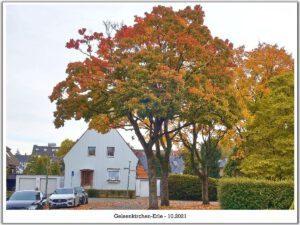 Gelsenkirchen-Erle im Oktober 2021