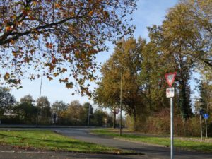 Gelsenkirchen Erle im November 2020