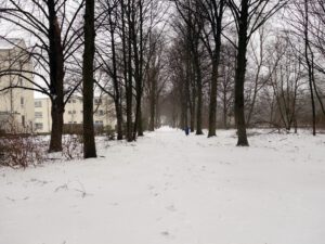 Winter in Gelsenkirchen Erle im Februar 2021