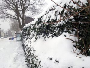 Winter in Gelsenkirchen Erle im Februar 2021