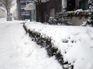 Winter in Gelsenkirchen Erle im Februar 2021