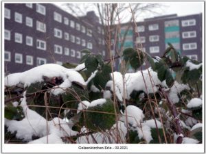 Winter in Gelsenkirchen Erle im Februar 2021