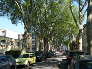 Gelsenkirchen Feldmark im Mai 2020