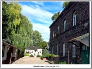 Gelsenkirchen Feldmark im August 2020