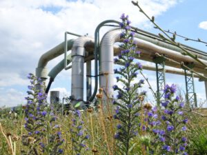 Der Glück Auf Park in Gelsenkirchen-Hassel im Juni 2020