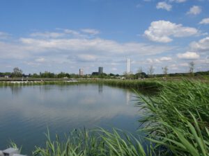 Der Glück Auf Park in Gelsenkirchen-Hassel im Juni 2020