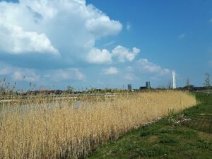 Der Glück Auf Park in Gelsenkirchen-Hassel im April 2021