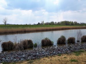 Der Glück Auf Park in Gelsenkirchen-Hassel im April 2021