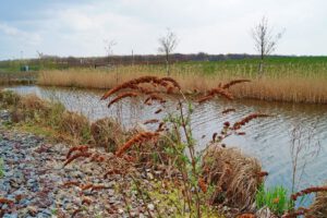 Der Glück Auf Park in Gelsenkirchen-Hassel im April 2021