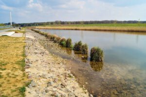 Der Glück Auf Park in Gelsenkirchen-Hassel im April 2021