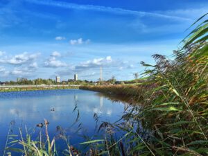 Der Glück Auf Park in Gelsenkirchen-Hassel im Oktober 2021