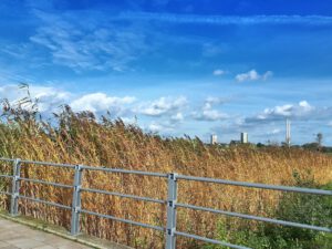 Der Glück Auf Park in Gelsenkirchen-Hassel im Oktober 2021