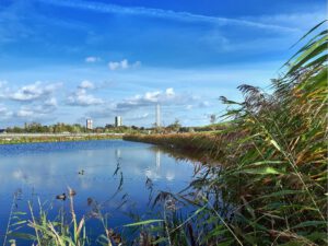 Der Glück Auf Park in Gelsenkirchen-Hassel im Oktober 2021