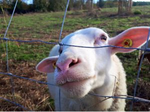 Der Glück Auf Park in Gelsenkirchen-Hassel im Oktober 2021