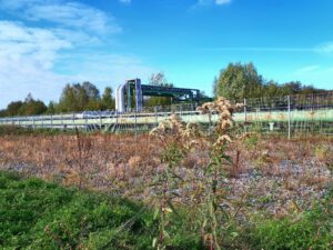Der Glück Auf Park in Gelsenkirchen-Hassel im Oktober 2021