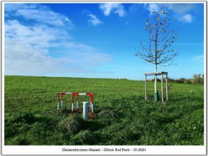 Der Glück Auf Park in Gelsenkirchen-Hassel im Oktober 2021