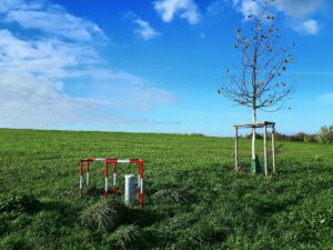 Der Glück Auf Park in Gelsenkirchen-Hassel im Oktober 2021