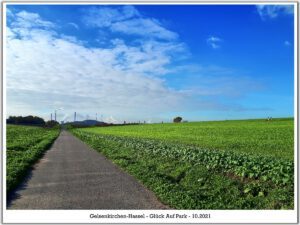 Der Glück Auf Park in Gelsenkirchen-Hassel im Oktober 2021
