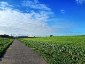 Der Glück Auf Park in Gelsenkirchen-Hassel im Oktober 2021