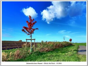 Der Glück Auf Park in Gelsenkirchen-Hassel im Oktober 2021