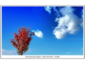 Der Glück Auf Park in Gelsenkirchen-Hassel im Oktober 2021