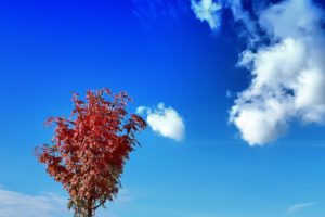 Der Glück Auf Park in Gelsenkirchen-Hassel im Oktober 2021