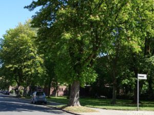 Gelsenkirchen Hessler im April 2020