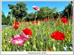 Gelsenkirchen-Horst im Mail 2021