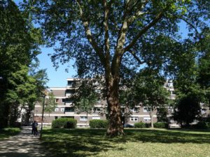 Gelsenkirchen-Neustadt im Mai 2020