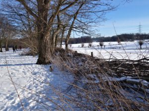 Winter in Gelsenkirchen Resse im Februar 2021