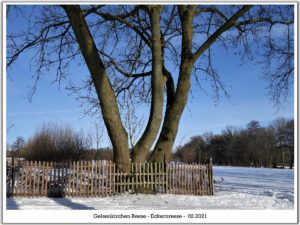 Winter in Gelsenkirchen Resse im Februar 2021