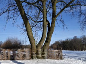 Winter in Gelsenkirchen Resse im Februar 2021