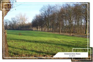 Gelsenkirchen-Resse im Januar 2017