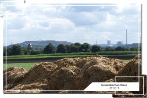 Gelsenkirchen-Resse im Januar 2017