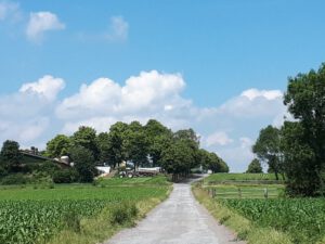 Gelsenkirchen-Resse im Juni 2020