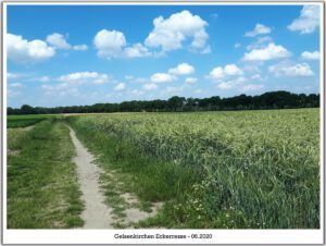 Gelsenkirchen-Resse im Juni 2020