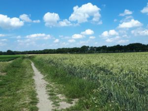 Gelsenkirchen-Resse im Juni 2020