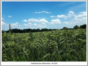 Gelsenkirchen-Resse im Juni 2020