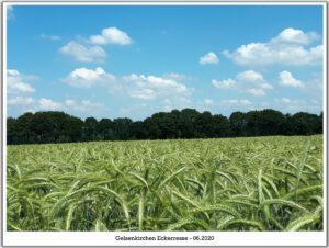 Gelsenkirchen-Resse im Juni 2020