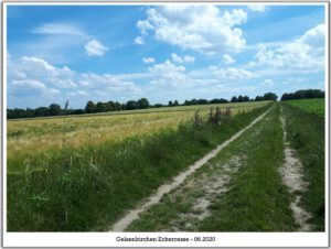 Gelsenkirchen-Resse im Juni 2020