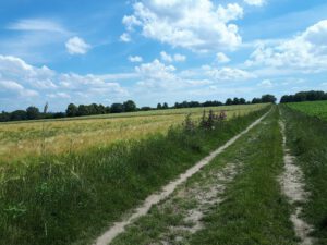 Gelsenkirchen-Resse im Juni 2020