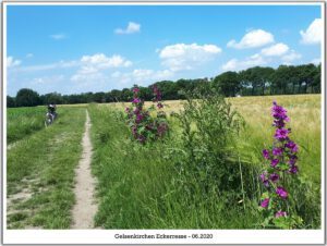 Gelsenkirchen-Resse im Juni 2020