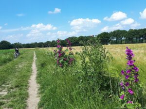 Gelsenkirchen-Resse im Juni 2020