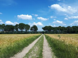 Gelsenkirchen-Resse im Juni 2020