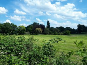 Gelsenkirchen-Resse im Juni 2020