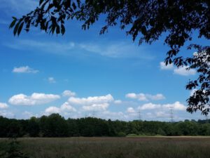 Gelsenkirchen-Resse im Juni 2020